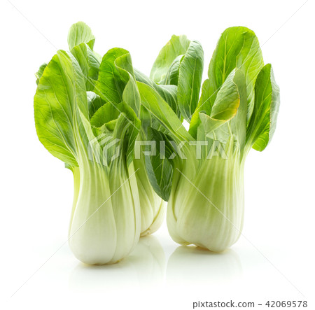 Fresh Bok choy isolated on white Fresh Bok choy isolated on white 42069578