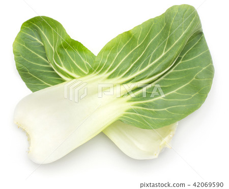 Fresh Bok choy isolated on white Fresh Bok choy isolated on white 42069590
