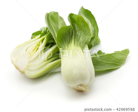 Fresh Bok choy isolated on white 42069598