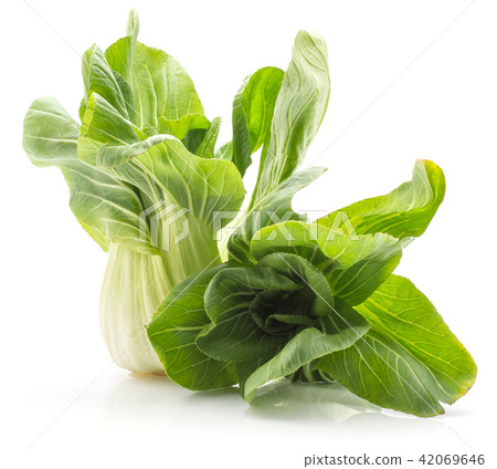Fresh Bok choy isolated on white Fresh Bok choy isolated on white 42069646