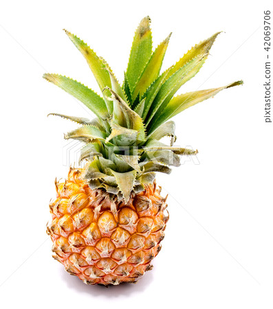 Fresh pineapple isolated on white Fresh pineapple isolated on white 42069706