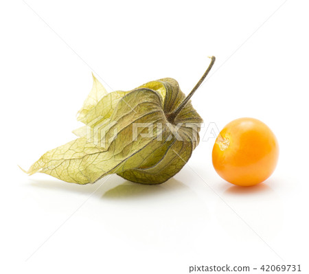 Fresh physalis isolated on white Fresh physalis isolated on white 42069731
