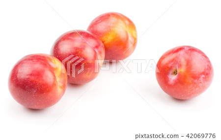 Fresh Red Plum isolated on white 42069776