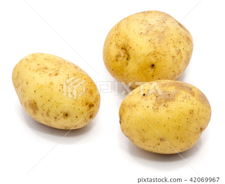 Fresh raw potatoes isolated on white Fresh raw potatoes isolated on white 42069967