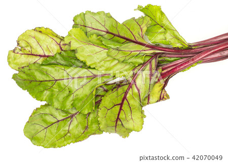Fresh raw red beetroot isolated on white Fresh raw red beetroot isolated on white 42070049
