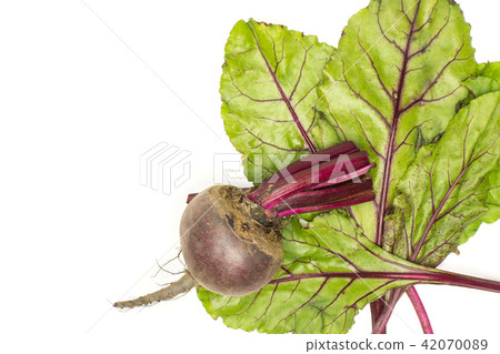 Fresh raw red beetroot isolated on white 42070089