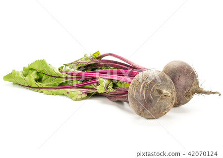 Fresh raw red beetroot isolated on white 42070124