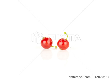 Fresh raw red currant isolated on white 42070387