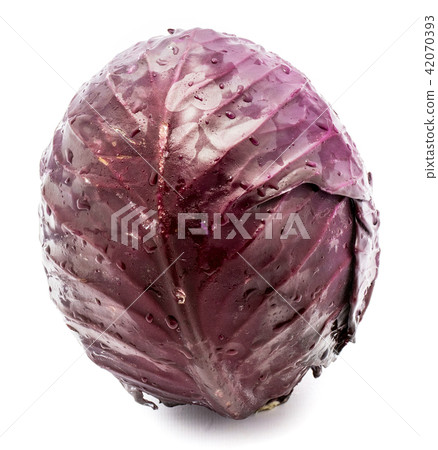 Fresh red cabbage isolated on white Fresh red cabbage isolated on white 42070393