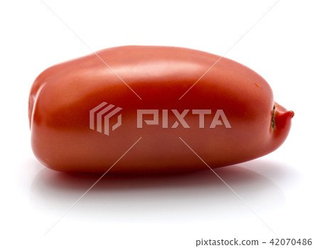 Fresh san marzano tomato isolated on white 42070486