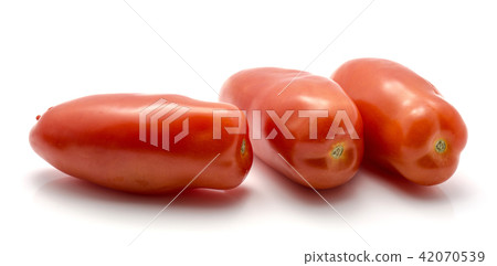 Fresh san marzano tomato isolated on white Fresh san marzano tomato isolated on white 42070539