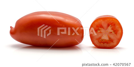 Fresh san marzano tomato isolated on white Fresh san marzano tomato isolated on white 42070567