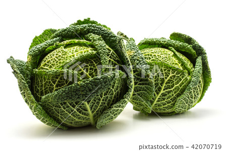 Fresh Savoy Cabbage isolated on white Fresh Savoy Cabbage isolated on white 42070719