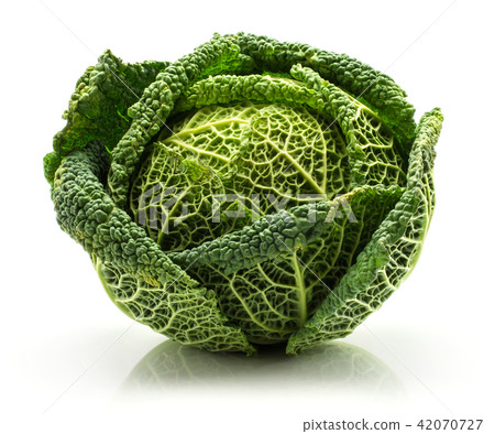Fresh Savoy Cabbage isolated on white Fresh Savoy Cabbage isolated on white 42070727