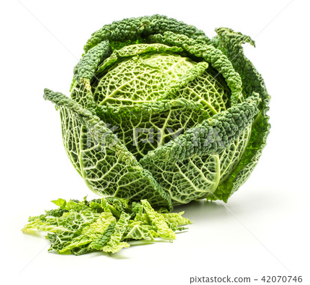 Fresh Savoy Cabbage isolated on white Fresh Savoy Cabbage isolated on white 42070746