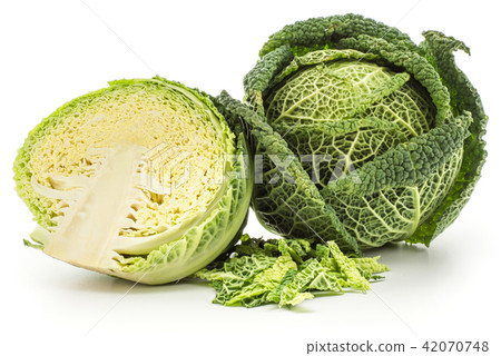 Fresh Savoy Cabbage isolated on white Fresh Savoy Cabbage isolated on white 42070748