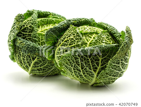 Fresh Savoy Cabbage isolated on white Fresh Savoy Cabbage isolated on white 42070749