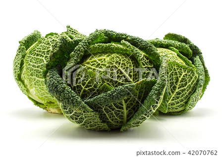 Fresh Savoy Cabbage isolated on white Fresh Savoy Cabbage isolated on white 42070762