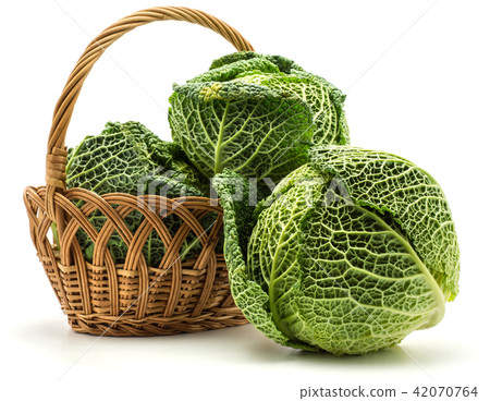 Fresh Savoy Cabbage isolated on white Fresh Savoy Cabbage isolated on white 42070764