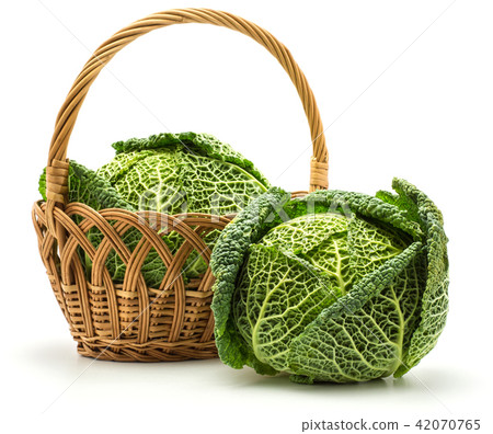 Fresh Savoy Cabbage isolated on white 42070765