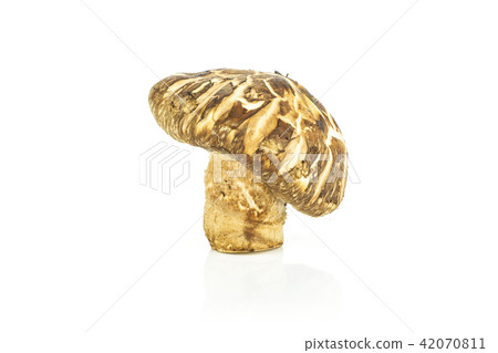 Fresh raw shitake mushroom isolated on white 42070811