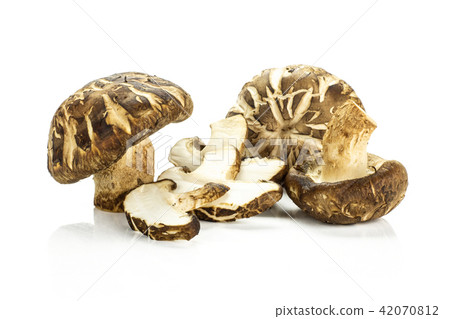 Fresh raw shitake mushroom isolated on white 42070812