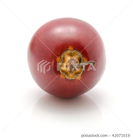 Fresh raw tamarillo isolated on white Fresh raw tamarillo isolated on white 42071019