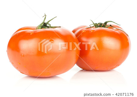Fresh raw Tomato (La Parcela) on black wood 42071176
