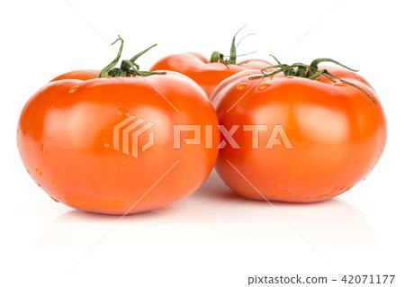 Fresh raw Tomato (La Parcela) on black wood Fresh raw Tomato (La Parcela) on black wood 42071177