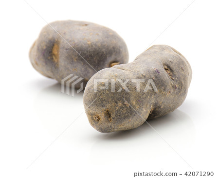 Fresh vitelotte potato isolated on white 42071290