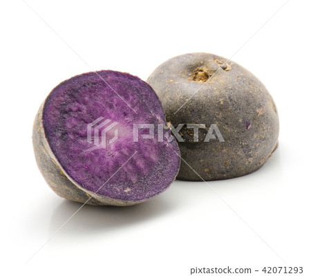 Fresh vitelotte potato isolated on white Fresh vitelotte potato isolated on white 42071293