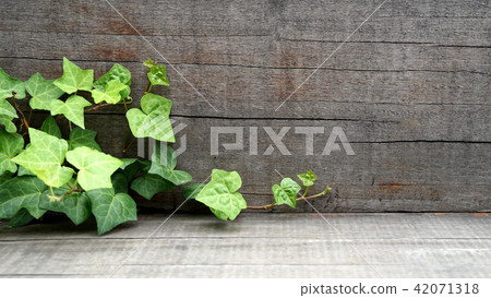 Wood background, wood material, wood pattern 42071318