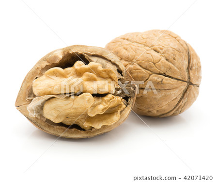 Raw walnut isolated on white Raw walnut isolated on white 42071420
