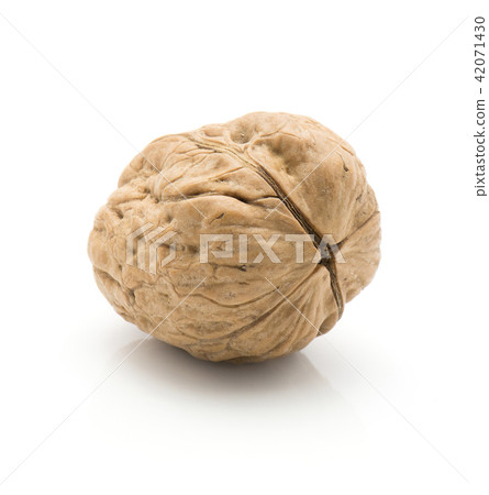 Raw walnut isolated on white Raw walnut isolated on white 42071430