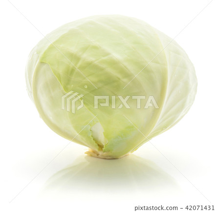 Raw white cabbage isolated on white Raw white cabbage isolated on white 42071431
