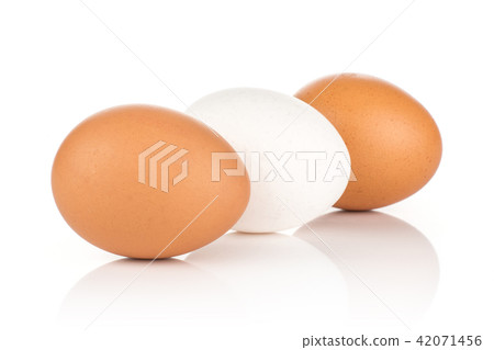 Fresh raw white eggs isolated on white Fresh raw white eggs isolated on white 42071456