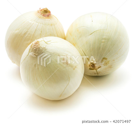 Fresh white onion isolated on white 42071497