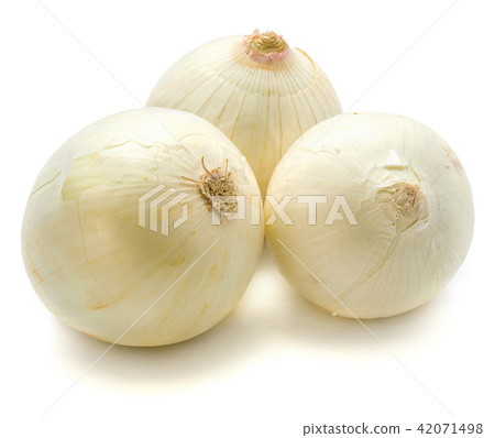Fresh white onion isolated on white 42071498