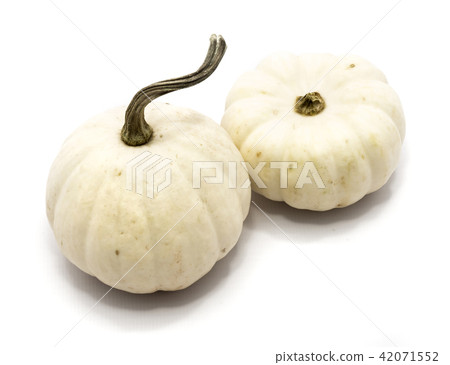 White pumpkin isolated on white 42071552