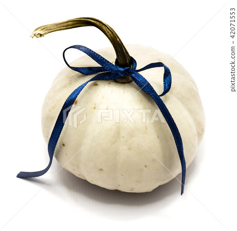 White pumpkin isolated on white White pumpkin isolated on white 42071553