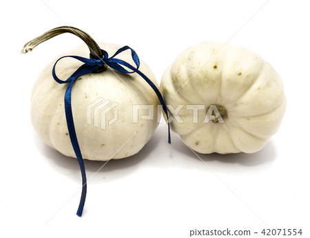 White pumpkin isolated on white White pumpkin isolated on white 42071554