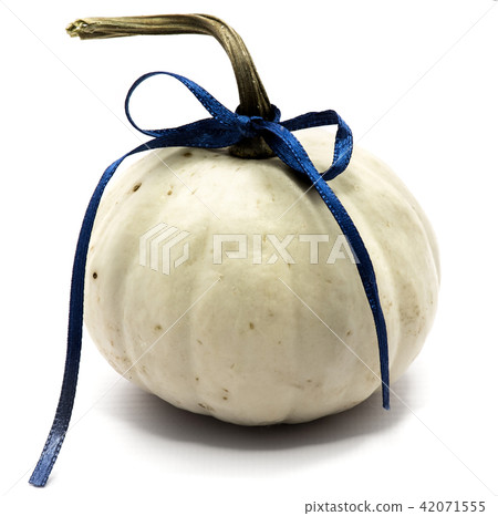 White pumpkin isolated on white White pumpkin isolated on white 42071555