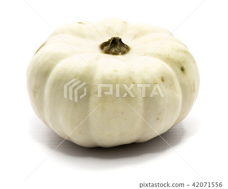 White pumpkin isolated on white White pumpkin isolated on white 42071556
