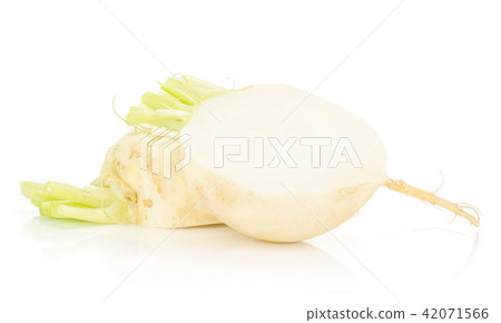 Fresh white radish isolated on white Fresh white radish isolated on white 42071566