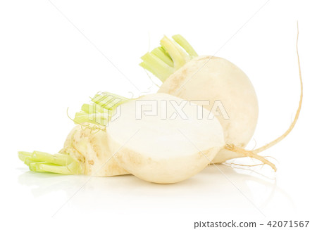 Fresh white radish isolated on white Fresh white radish isolated on white 42071567