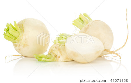 Fresh white radish isolated on white Fresh white radish isolated on white 42071568