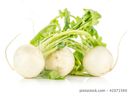 Fresh white radish isolated on white Fresh white radish isolated on white 42071569