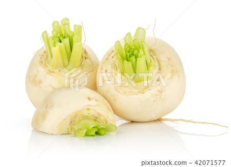 Fresh white radish isolated on white Fresh white radish isolated on white 42071577