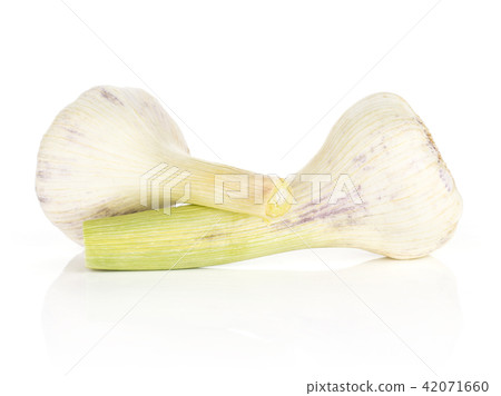 Fresh young garlic isolated on white Fresh young garlic isolated on white 42071660