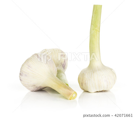 Fresh young garlic isolated on white Fresh young garlic isolated on white 42071661